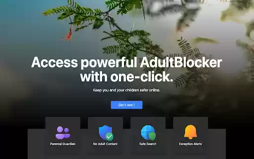 AdultBlocker Free  from Chrome web store to be run with OffiDocs Chromium online