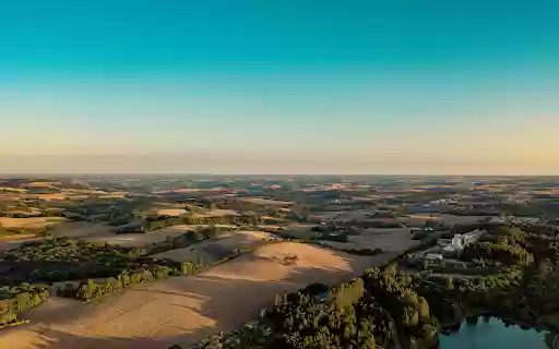 Aerial View of Trees in Field  from Chrome web store to be run with OffiDocs Chromium online