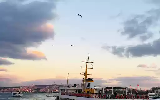 A Ferry Boat on the Bosporus Strait  from Chrome web store to be run with OffiDocs Chromium online