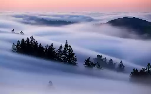 A foggy landscape with trees and mountains from Chrome web store to be run with OffiDocs Chromium online A foggy landscape with trees and mountains from Chrome web store to be run with OffiDocs Chromium online