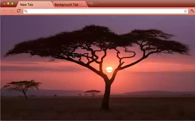African Safari Sunset  from Chrome web store to be run with OffiDocs Chromium online