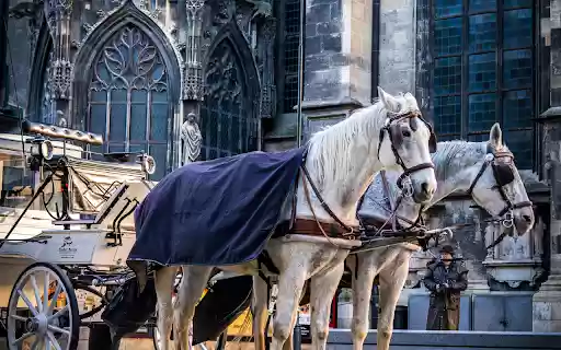 A Horse Drawn Carriage outside St. Stephens Cathedral  from Chrome web store to be run with OffiDocs Chromium online