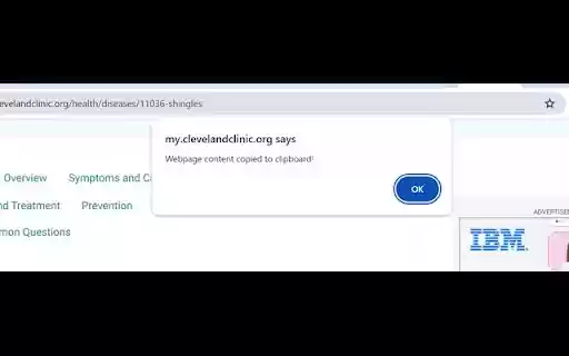 Chrome 웹 스토어의 AIBuddy가 OffiDocs Chromium 온라인에서 실행됩니다.
