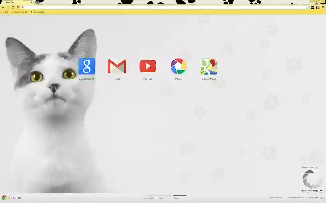Aida Cat With Yellow Eyes  from Chrome web store to be run with OffiDocs Chromium online