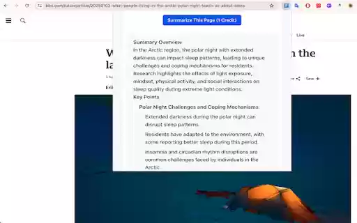AI Page Summarizer  from Chrome web store to be run with OffiDocs Chromium online