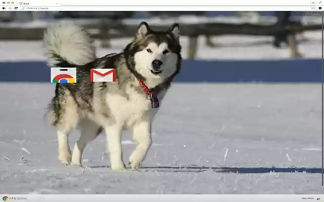Alaskan Malamute Theme  from Chrome web store to be run with OffiDocs Chromium online