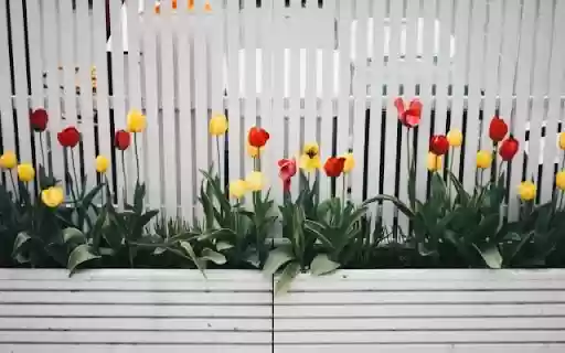 A Linear Display of Spring Tulips  from Chrome web store to be run with OffiDocs Chromium online