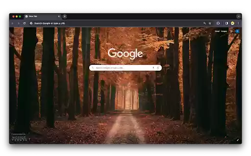 Alley Trees Road  from Chrome web store to be run with OffiDocs Chromium online