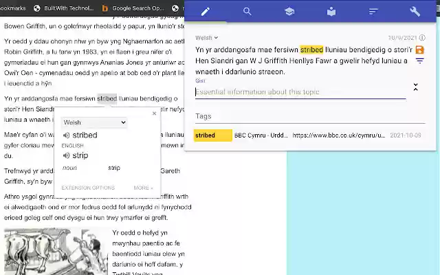 Amanuensis  from Chrome web store to be run with OffiDocs Chromium online