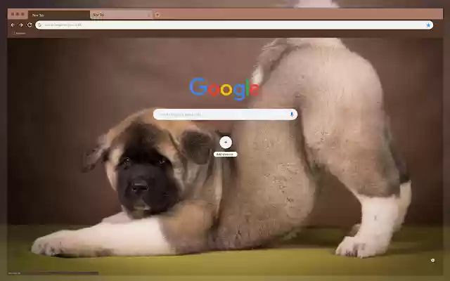 American Akita from Chrome web store to be run with OffiDocs Chromium online American Akita from Chrome web store to be run with OffiDocs Chromium online