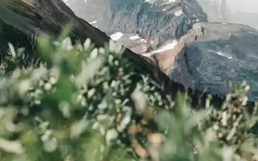 A Mountainside in Jasper National Park  from Chrome web store to be run with OffiDocs Chromium online