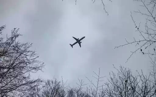An airplane flying through the trees in a cloudy sky  from Chrome web store to be run with OffiDocs Chromium online