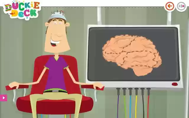 Anatomy Games Brain Game no Duckie Deck da Chrome Web Store para ser executado com OffiDocs Chromium online