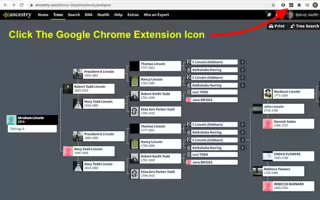 Ancestry DNA Paths (beta) from Chrome web store to be run with OffiDocs Chromium online Ancestry DNA Paths (beta) from Chrome web store to be run with OffiDocs Chromium online