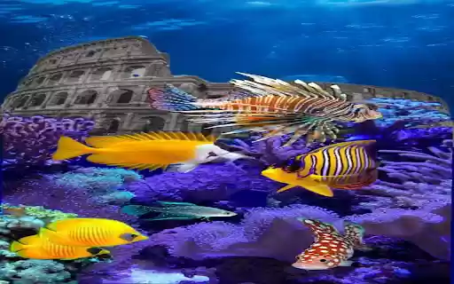 Ancient castle under the ocean wallpaper from Chrome web store to be run with OffiDocs Chromium online Ancient castle under the ocean wallpaper from Chrome web store to be run with OffiDocs Chromium online