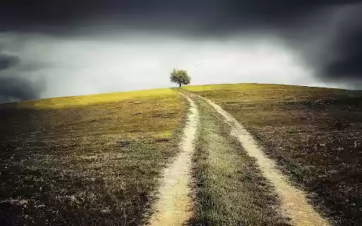 Ancient countrysidetrail from Chrome web store to be run with OffiDocs Chromium online Ancient countrysidetrail from Chrome web store to be run with OffiDocs Chromium online