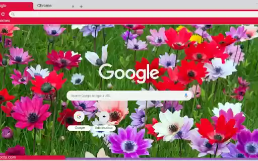 Anemone  from Chrome web store to be run with OffiDocs Chromium online