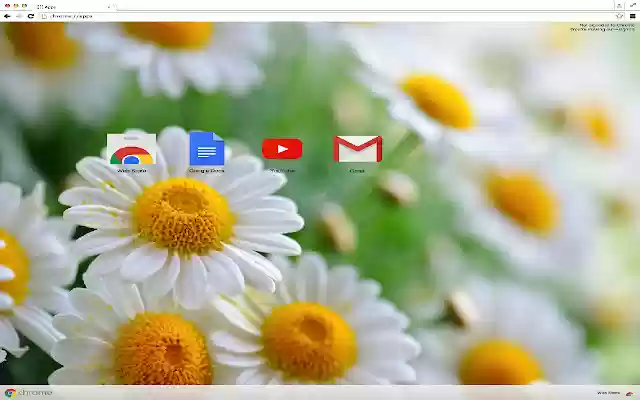Anemone Flowers Theme  from Chrome web store to be run with OffiDocs Chromium online