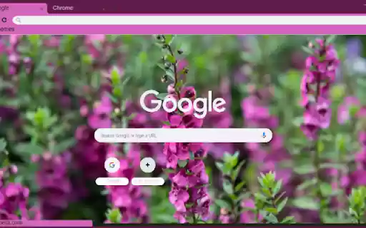 Angelonia from Chrome web store to be run with OffiDocs Chromium online Angelonia from Chrome web store to be run with OffiDocs Chromium online