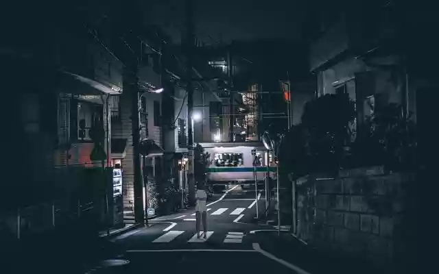 AnimeTokyo One Night in Tokyo  from Chrome web store to be run with OffiDocs Chromium online