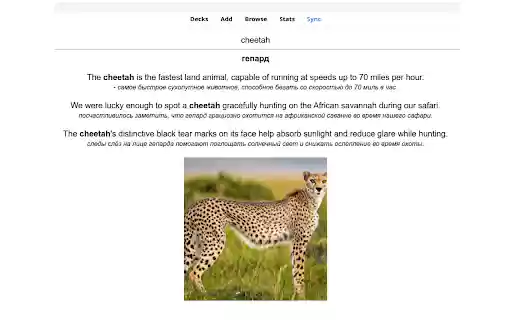 Anki Flash Cards + GPT  from Chrome web store to be run with OffiDocs Chromium online