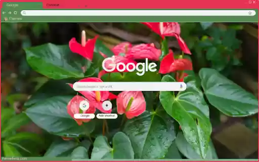 Anthurium  from Chrome web store to be run with OffiDocs Chromium online