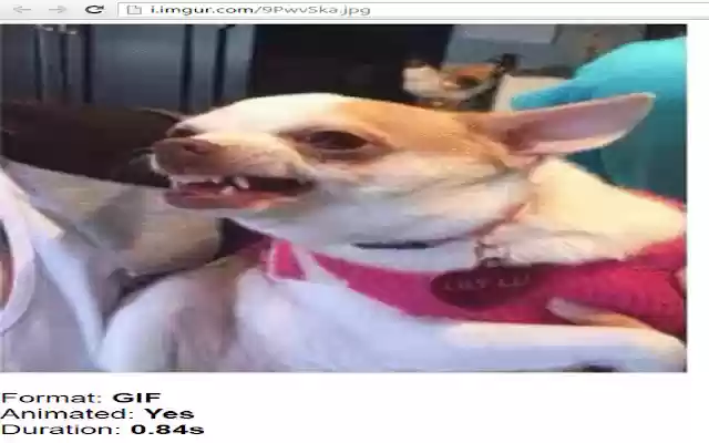 Anti Scamaz  from Chrome web store to be run with OffiDocs Chromium online