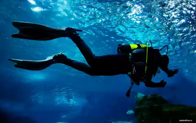 Aqualunger  from Chrome web store to be run with OffiDocs Chromium online