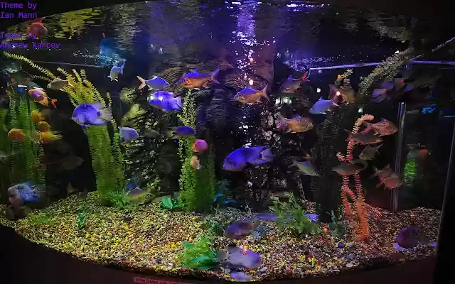 aquarium  from Chrome web store to be run with OffiDocs Chromium online
