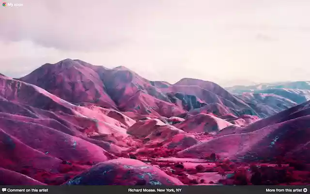 Artistaday.com Daily Contemporary Art  from Chrome web store to be run with OffiDocs Chromium online