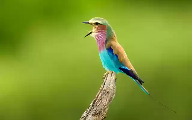 ASUS Back To School from Chrome web store to be run with OffiDocs Chromium online ASUS Back To School from Chrome web store to be run with OffiDocs Chromium online