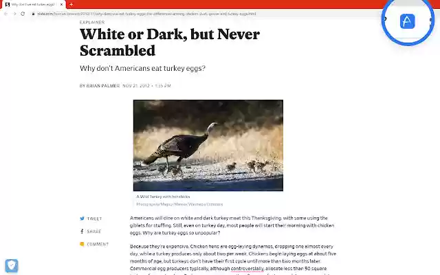 Audacity Reads from Chrome web store to be run with OffiDocs Chromium online Audacity Reads from Chrome web store to be run with OffiDocs Chromium online