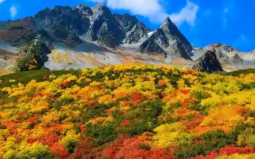 Autumnal Beauty  from Chrome web store to be run with OffiDocs Chromium online