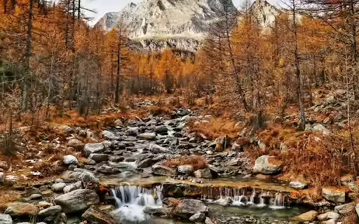 Autumnal Serenity from Chrome web store to be run with OffiDocs Chromium online Autumnal Serenity from Chrome web store to be run with OffiDocs Chromium online