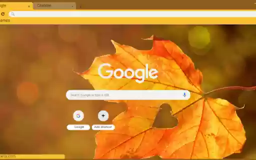 Autumn Maple Leaves  from Chrome web store to be run with OffiDocs Chromium online