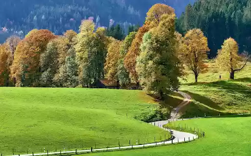 Autumn Path Through the Hills  from Chrome web store to be run with OffiDocs Chromium online