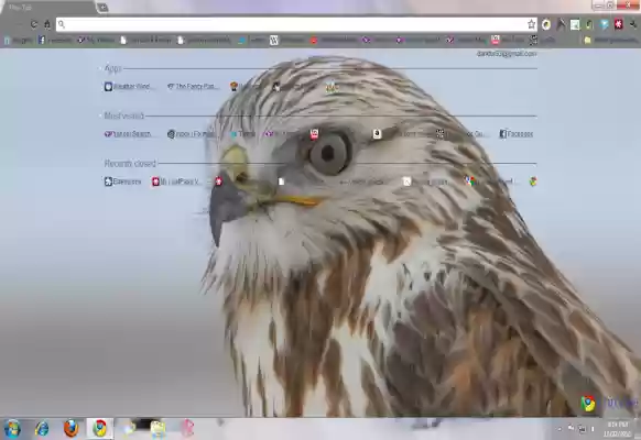 AuzBuzz Hawk Theme  from Chrome web store to be run with OffiDocs Chromium online