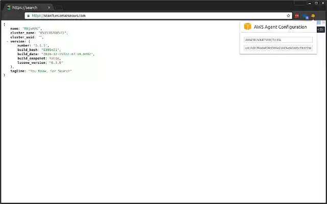 AWS Agent from Chrome web store to be run with OffiDocs Chromium online AWS Agent from Chrome web store to be run with OffiDocs Chromium online