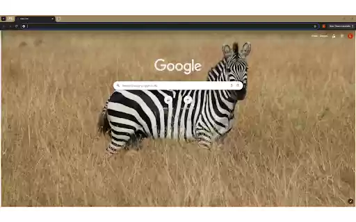 A Zebra in a Grassland  from Chrome web store to be run with OffiDocs Chromium online