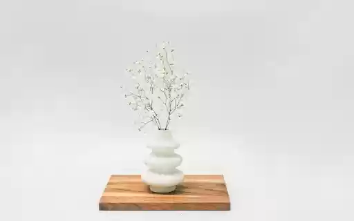 Baby Flower Vase  from Chrome web store to be run with OffiDocs Chromium online