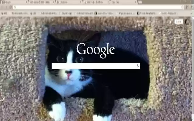 Baby Yoda  from Chrome web store to be run with OffiDocs Chromium online