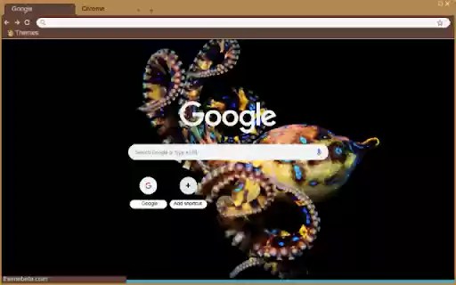 Bach tuoc xanh  from Chrome web store to be run with OffiDocs Chromium online