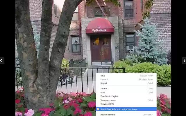 BackgroundImage Searchin Chrome with by OffiDocs