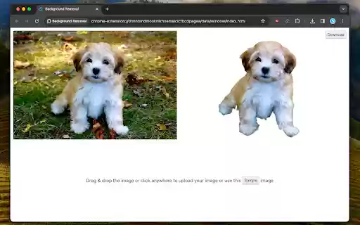 Background Removal  from Chrome web store to be run with OffiDocs Chromium online
