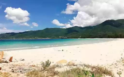 Bai bien Tien Phong  from Chrome web store to be run with OffiDocs Chromium online