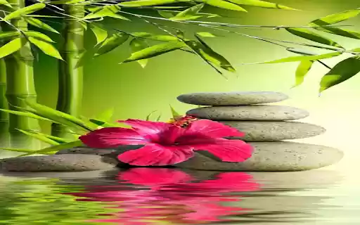 Bamboo and stone wallpaper from Chrome web store to be run with OffiDocs Chromium online Bamboo and stone wallpaper from Chrome web store to be run with OffiDocs Chromium online