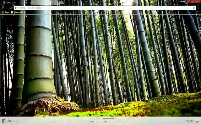 Bamboo Earth Forest from Chrome web store to be run with OffiDocs Chromium online Bamboo Earth Forest from Chrome web store to be run with OffiDocs Chromium online