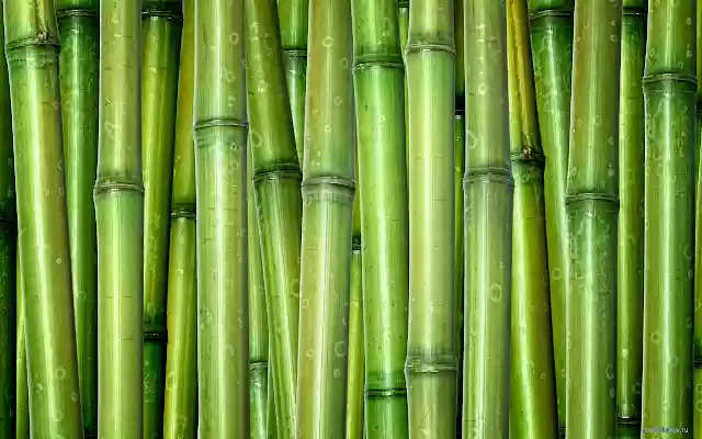 Bamboo Style from Chrome web store to be run with OffiDocs Chromium online Bamboo Style from Chrome web store to be run with OffiDocs Chromium online