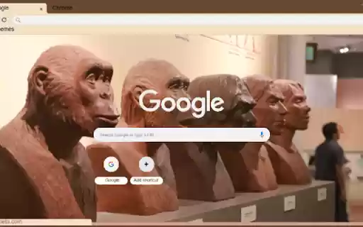 Bao tang Tien Su from Chrome web store to be run with OffiDocs Chromium online Bao tang Tien Su from Chrome web store to be run with OffiDocs Chromium online