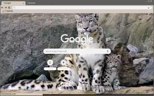 Bao trang  from Chrome web store to be run with OffiDocs Chromium online